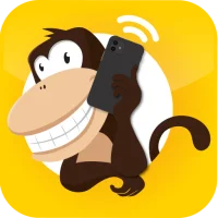 Link VoIP